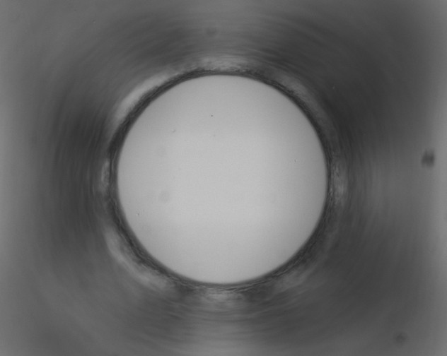 X0000115850583200912242039