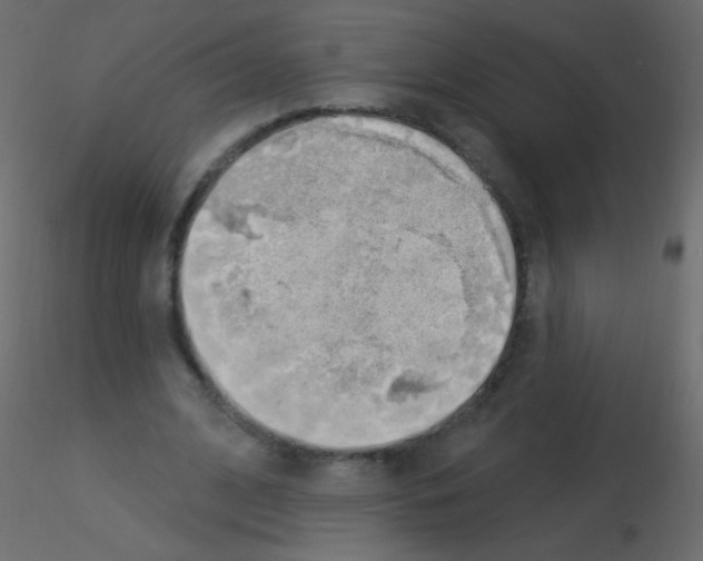 X0000115850584200912242039