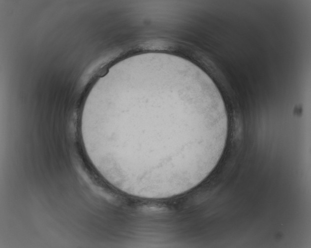 X0000115850586200912242039