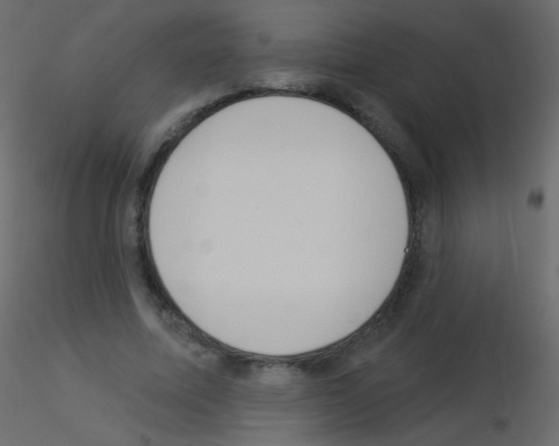 X0000115850587200912242039