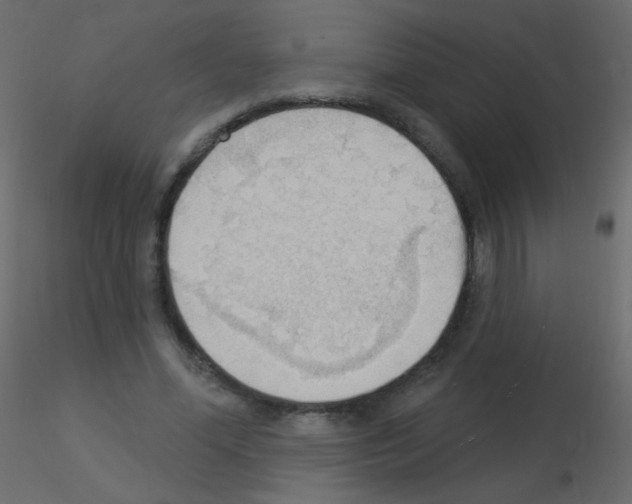 X0000115850588200912242039