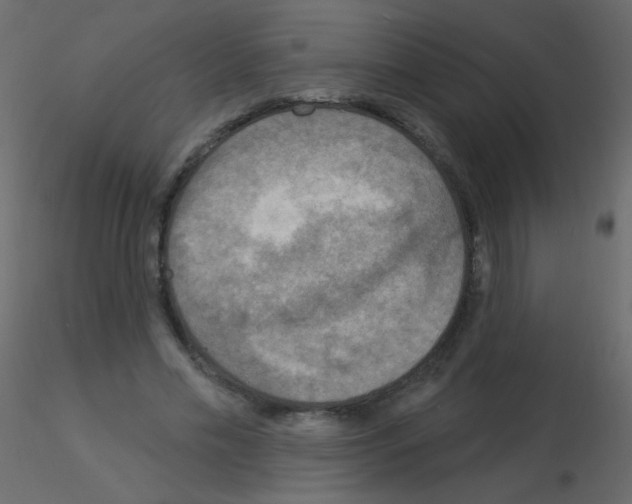 X0000115850589200912242039