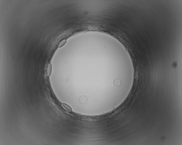 X0000115850593200912242039