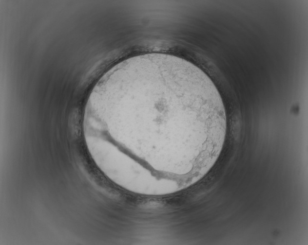 X0000115850594200912242039