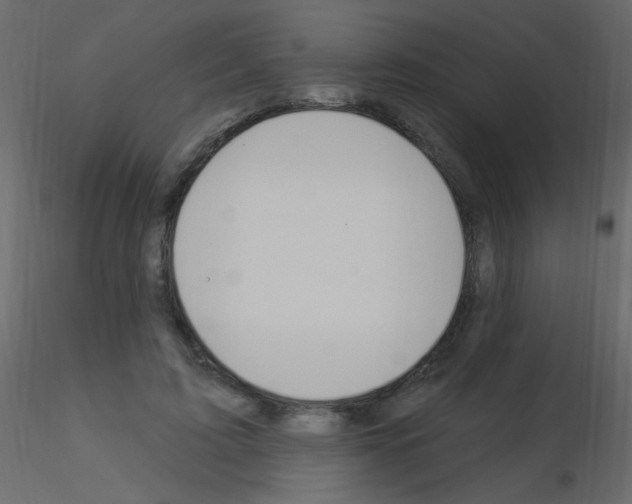 X0000115850595200912242039