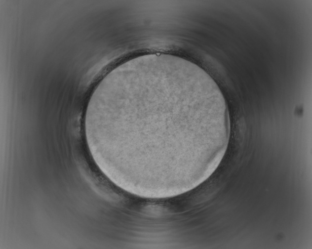 X0000115850596200912242039