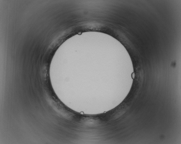 X0000115850597200912242039