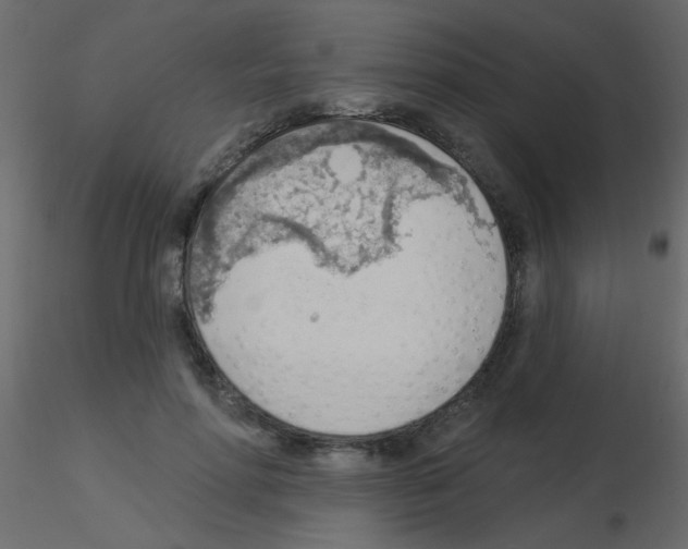 X0000115850598200912242039