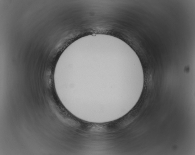 X0000115850599200912242039