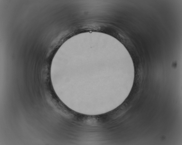 X0000115850600200912242039