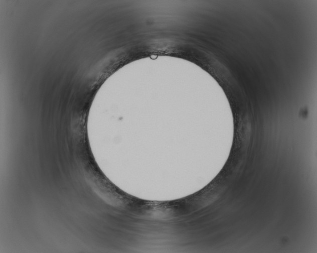 X0000115850601200912242039
