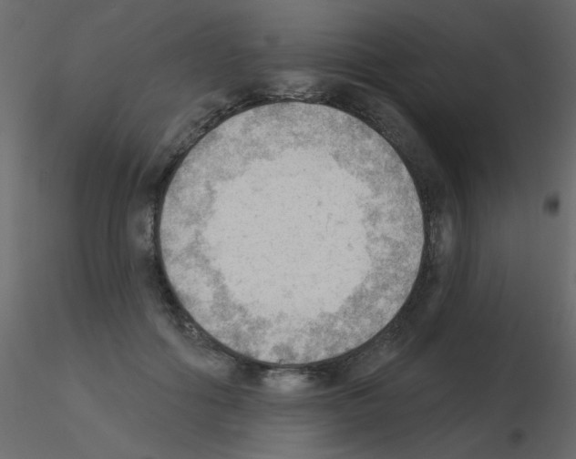 X0000115850602200912242039