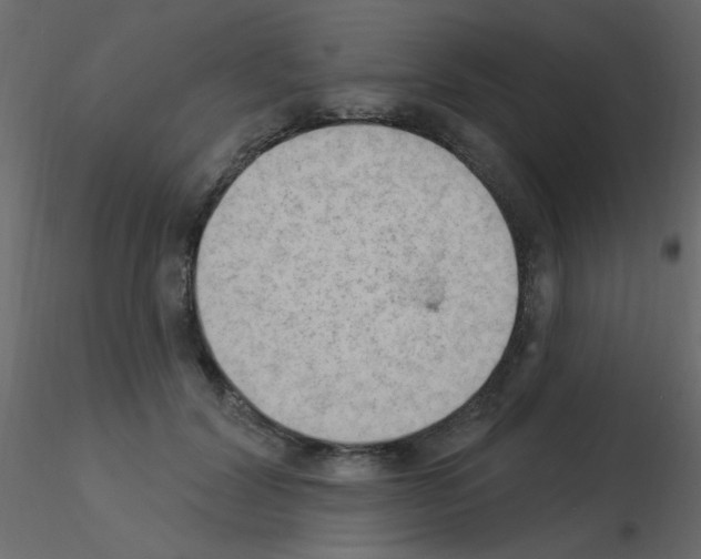 X0000115850604200912242039