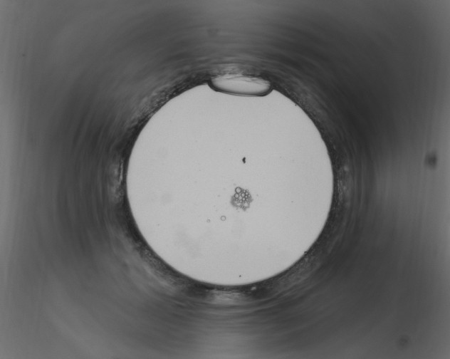 X0000115850605200912242039