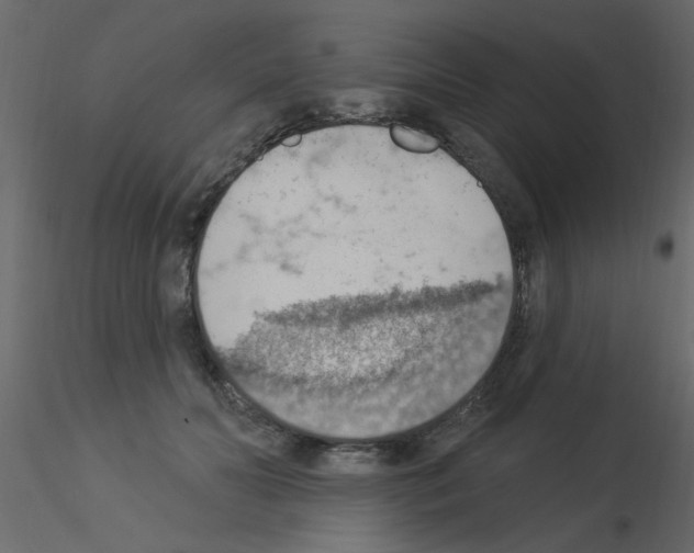 X0000115850606200912242039