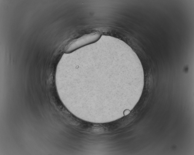 X0000115850608200912242039