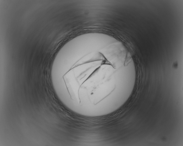 X0000115850609200912242039