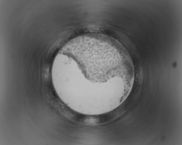 X0000115850610200912242039