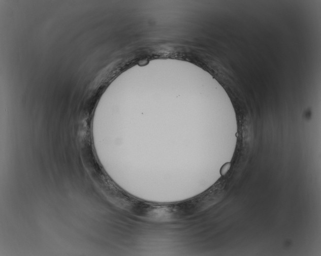 X0000115850611200912242039