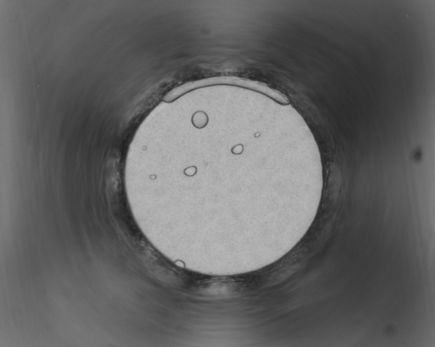 X0000115850612200912242039