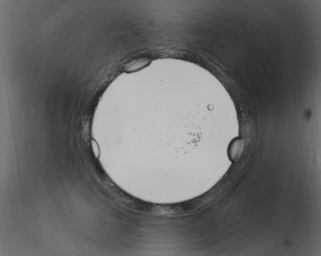 X0000115850613200912242039