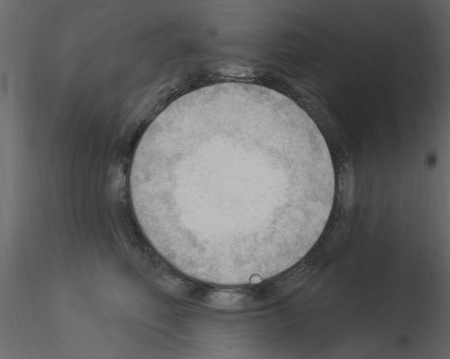 X0000115850614200912242039