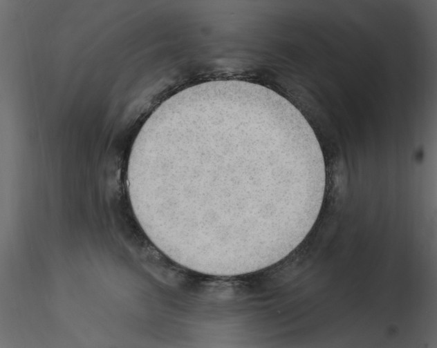 X0000115850615200912242039