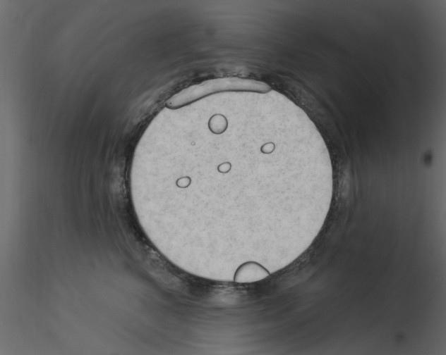 X0000115850616200912242039