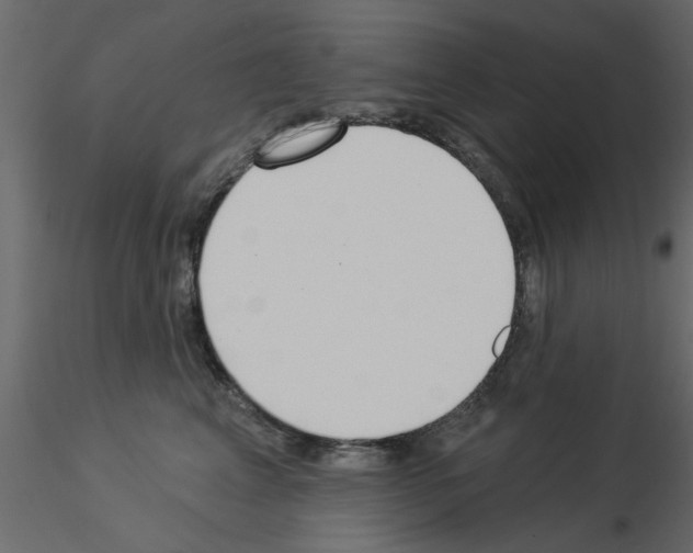 X0000115850617200912242039