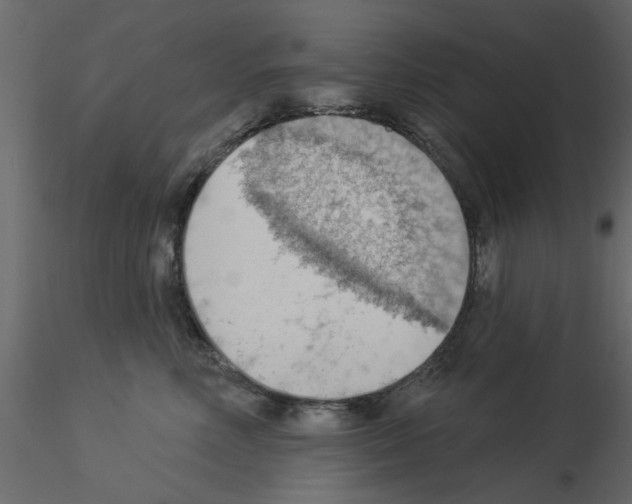 X0000115850618200912242039