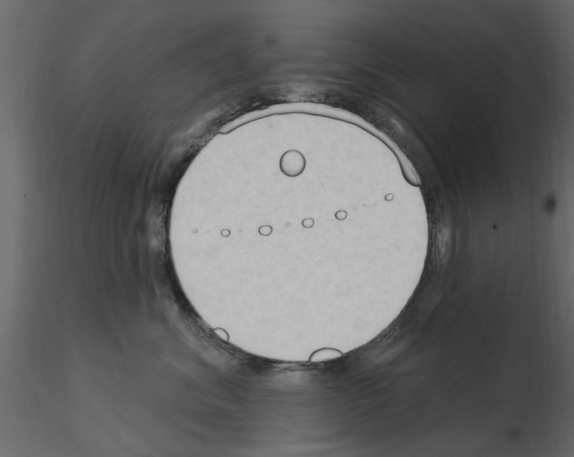 X0000115850620200912242039