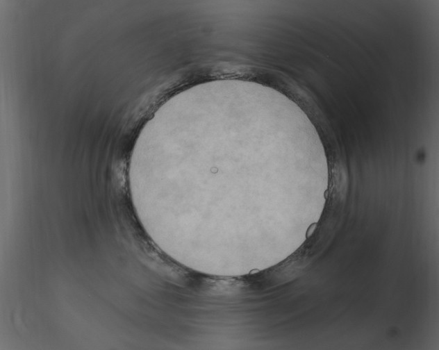 X0000115850621200912242039
