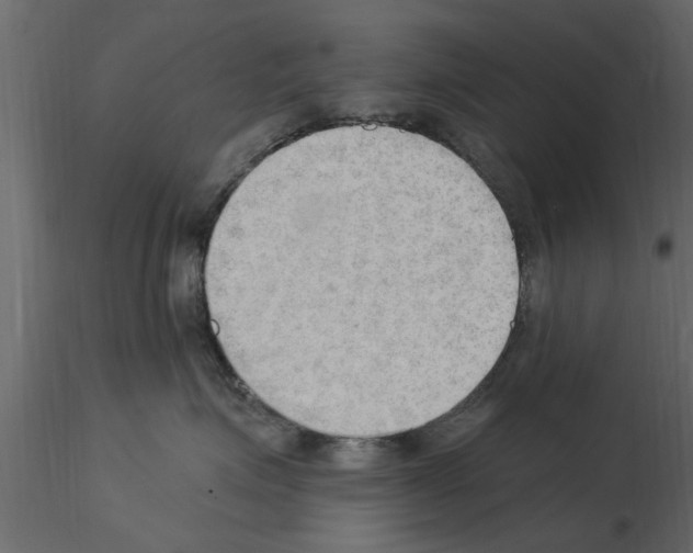 X0000115850623200912242039