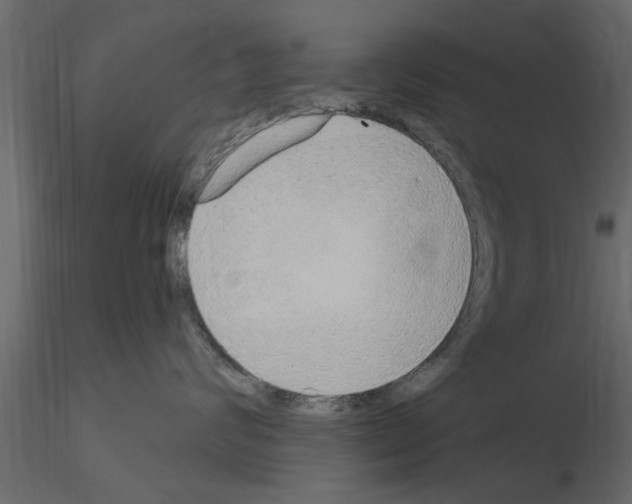 X0000115850624200912242039