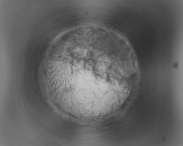 X0000115850625200912242038