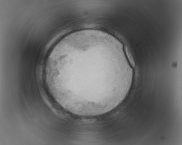 X0000115850626200912242038