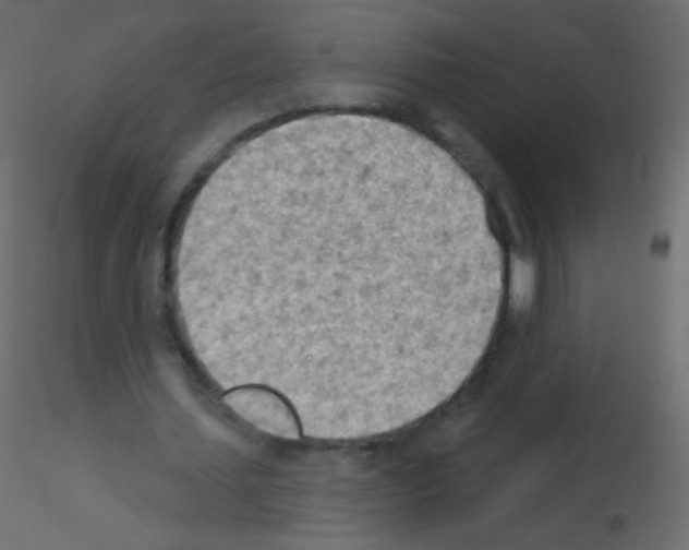 X0000115850627200912242038
