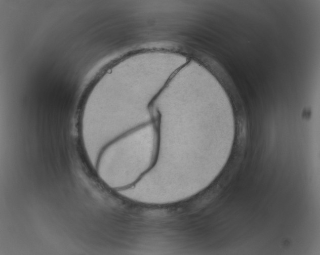 X0000115850628200912242038