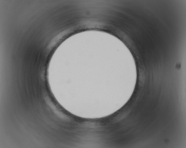 X0000115850629200912242038