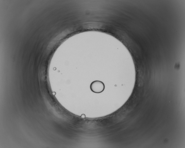 X0000115850631200912242038