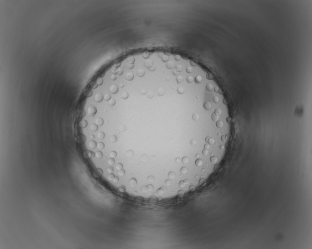 X0000115850632200912242038