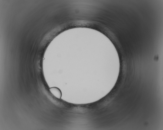 X0000115850633200912242038