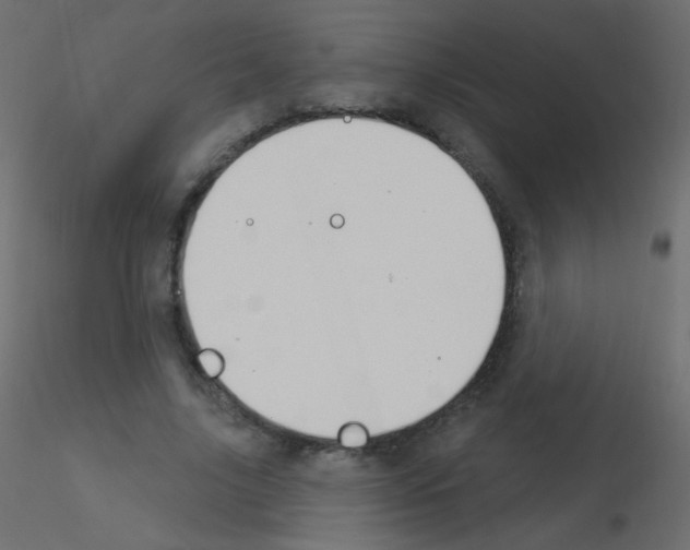X0000115850635200912242038