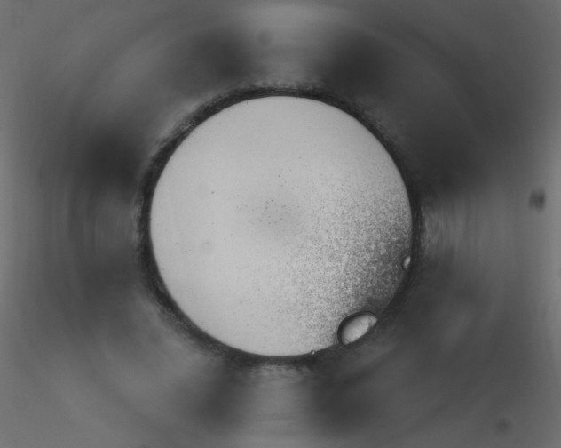 X0000115850636200912242038