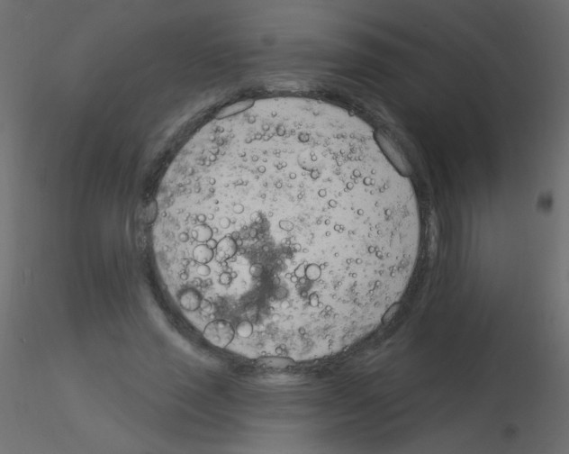 X0000115850637200912242038