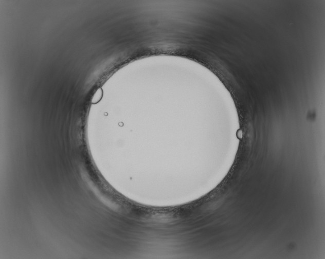 X0000115850638200912242038