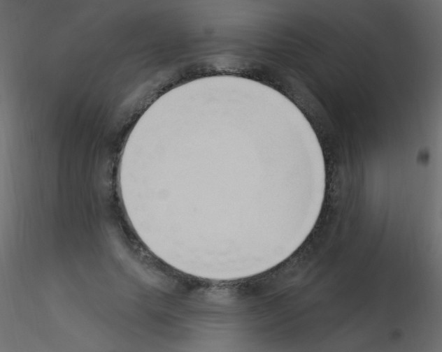 X0000115850639200912242038