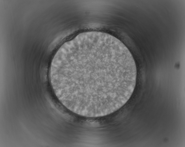 X0000115850640200912242038