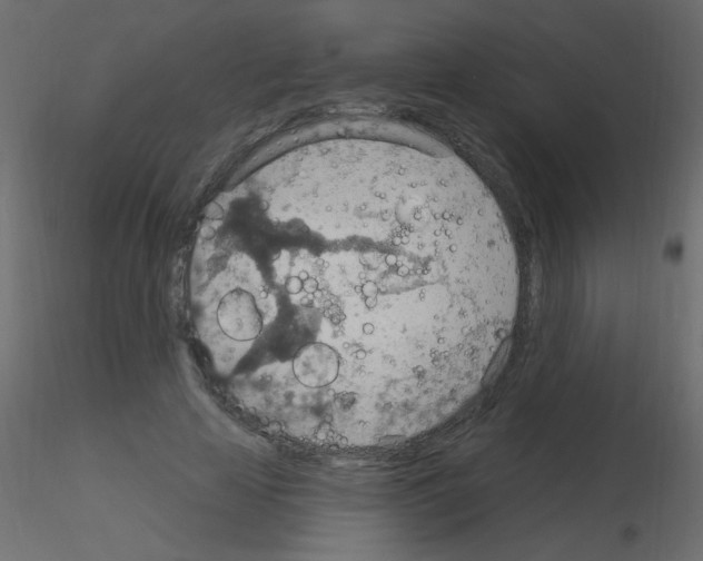 X0000115850641200912242038