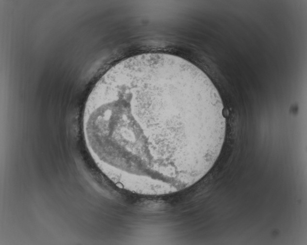 X0000115850642200912242038
